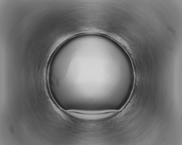 X0000112721231200909031410