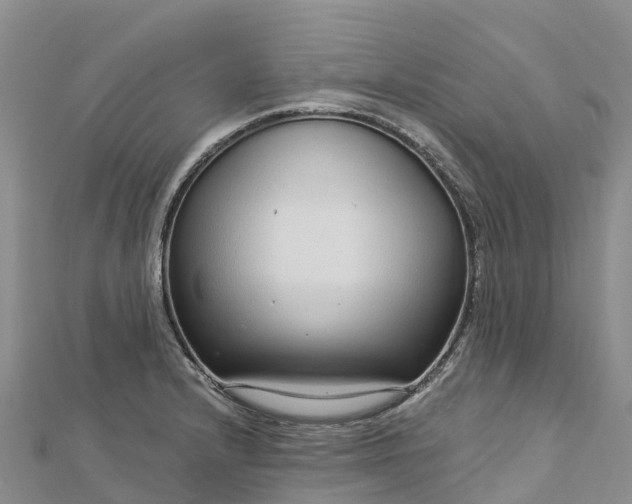 X0000112721232200909031410