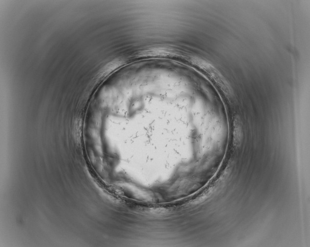 X0000112721233200909031410