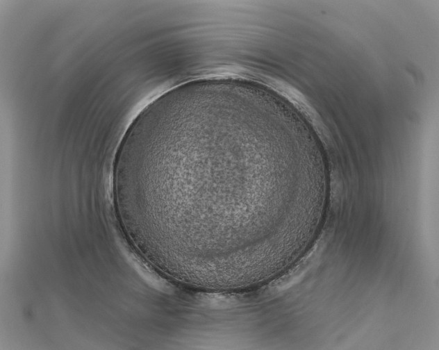 X0000112721234200909031410