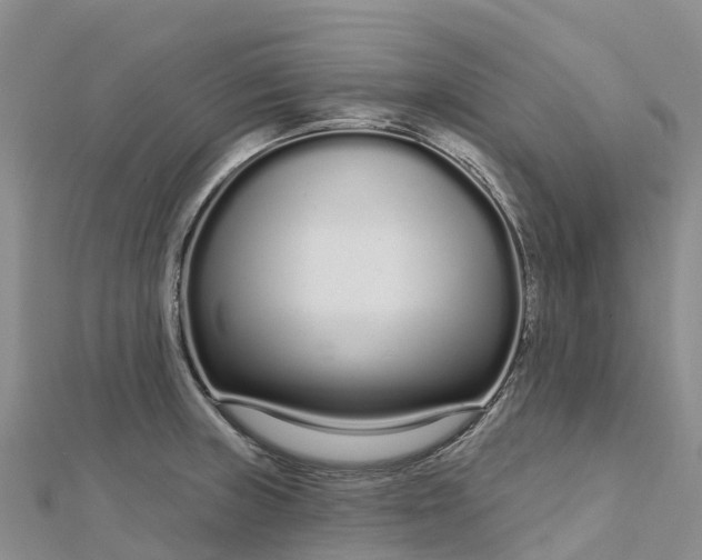 X0000112721235200909031410