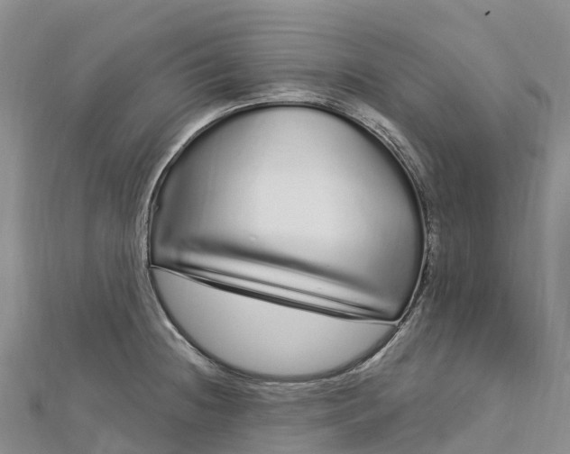 X0000112721236200909031410