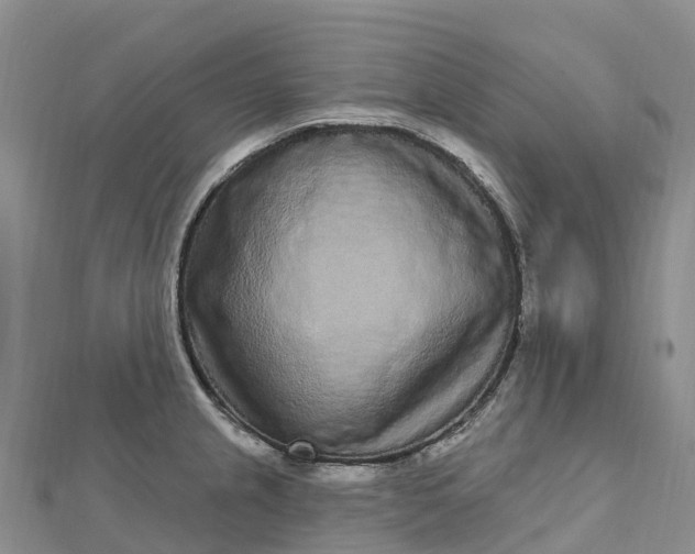 X0000112721237200909031410