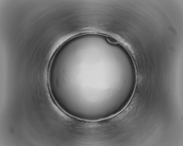 X0000112721239200909031410