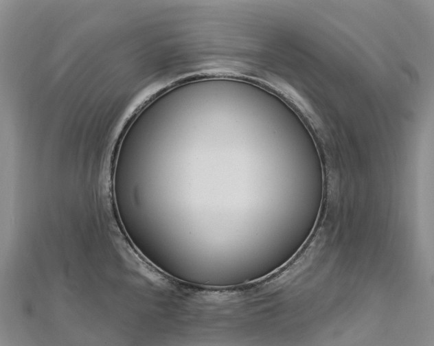 X0000112721240200909031410