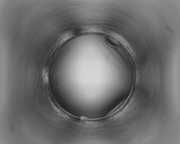 X0000112721241200909031410