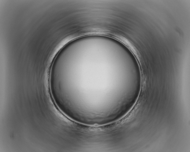 X0000112721243200909031410