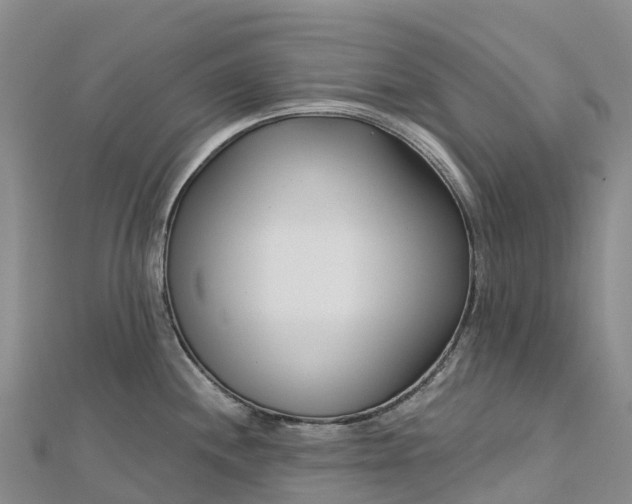 X0000112721244200909031410