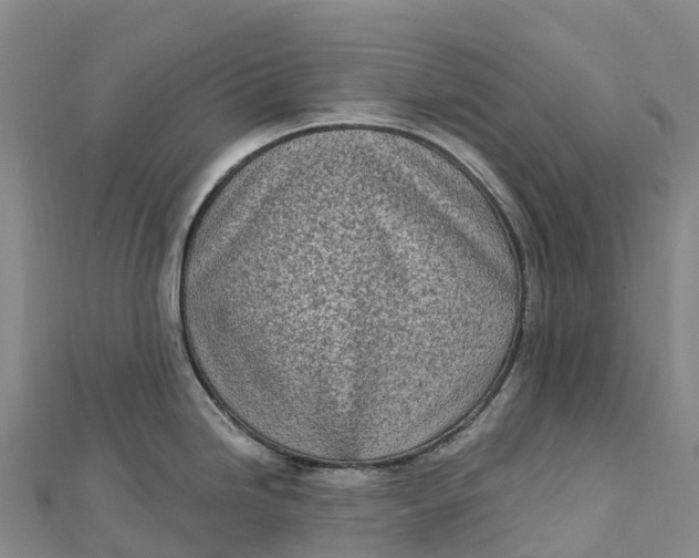 X0000112721246200909031410