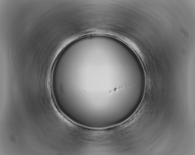 X0000112721247200909031410