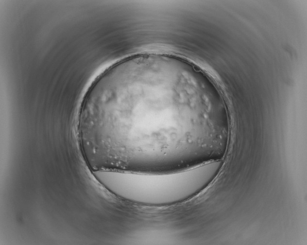 X0000112721248200909031410