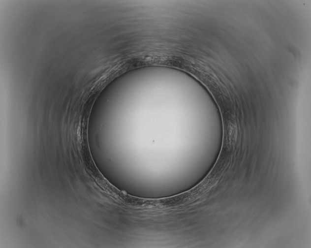 X0000112721250200909031410