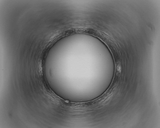 X0000112721252200909031410