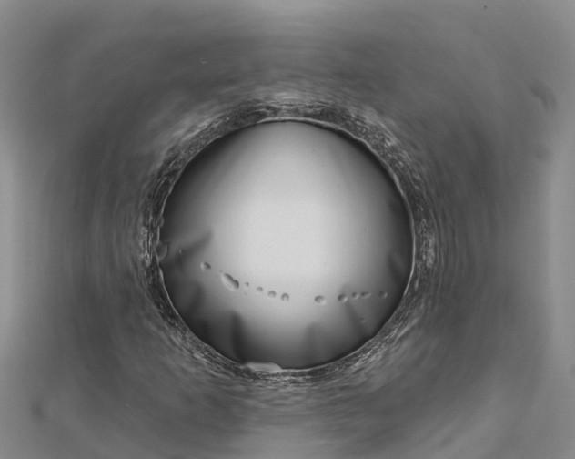 X0000112721253200909031410