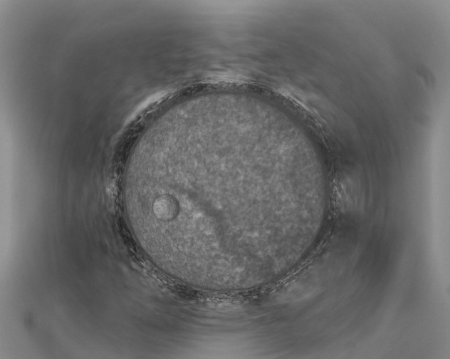 X0000112721254200909031410