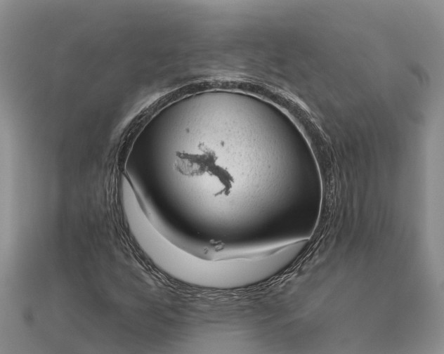 X0000112721255200909031410