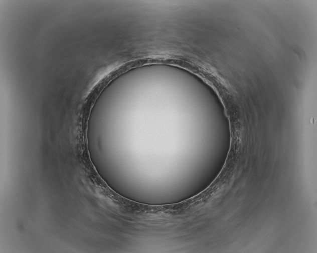 X0000112721256200909031410