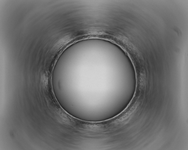 X0000112721257200909031410