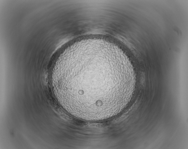 X0000112721258200909031410