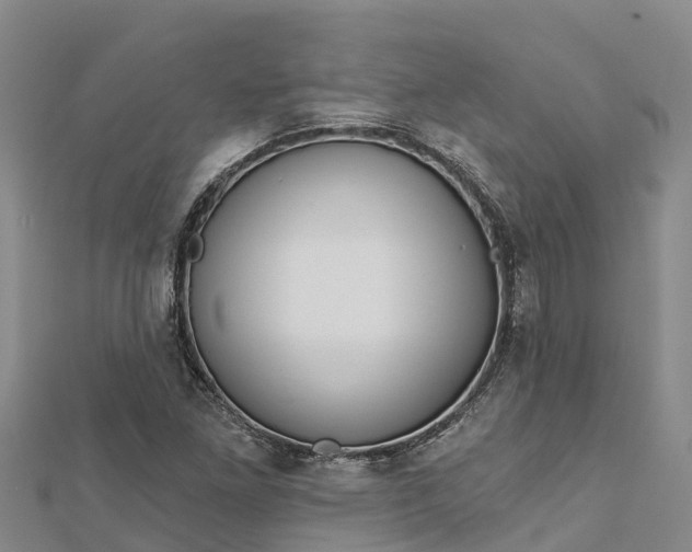 X0000112721261200909031410