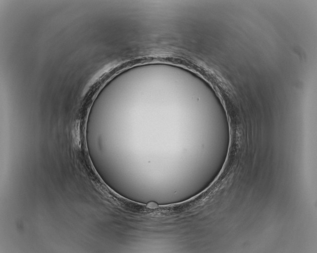 X0000112721262200909031410