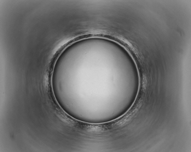 X0000112721263200909031410