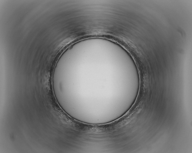 X0000112721265200909031409