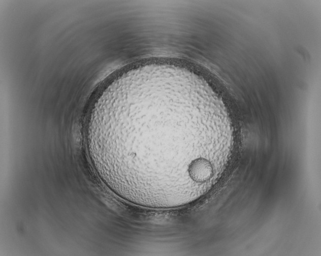 X0000112721266200909031409