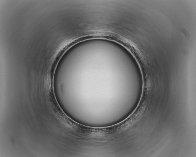 X0000112721267200909031409