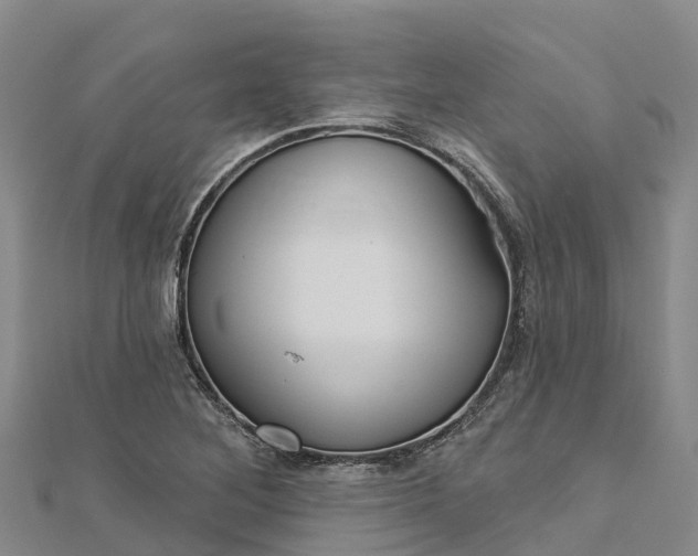 X0000112721268200909031409