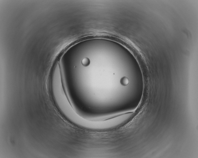 X0000112721269200909031409