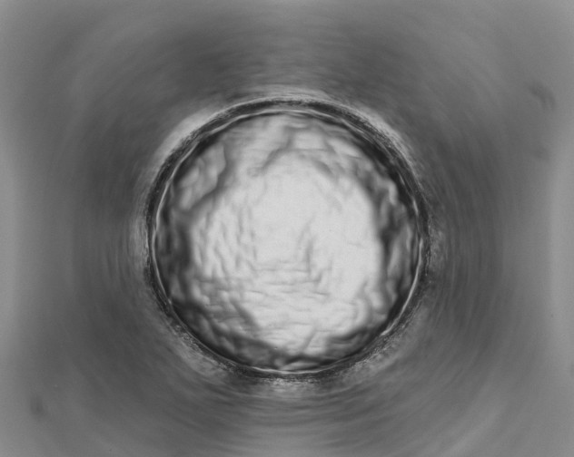 X0000112721271200909031409