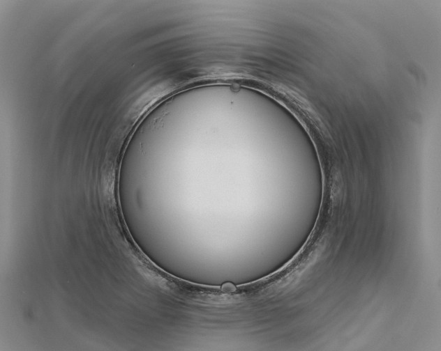 X0000112721273200909031409