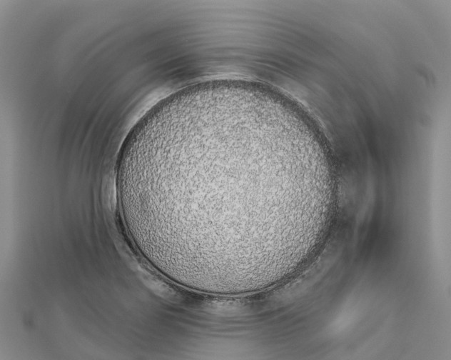 X0000112721274200909031409