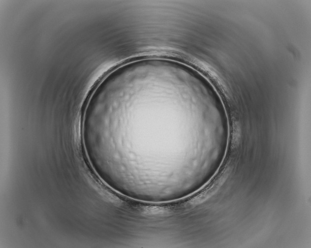 X0000112721275200909031409