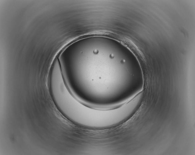 X0000112721276200909031409