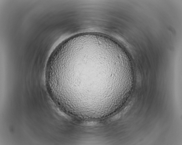 X0000112721278200909031409