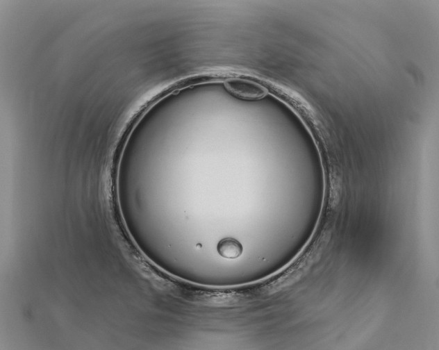 X0000112721279200909031409