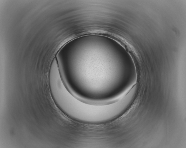 X0000112721281200909031409