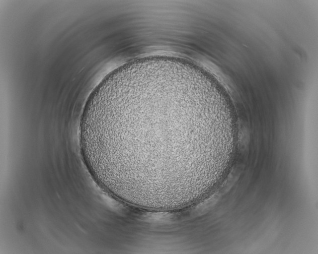 X0000112721282200909031409