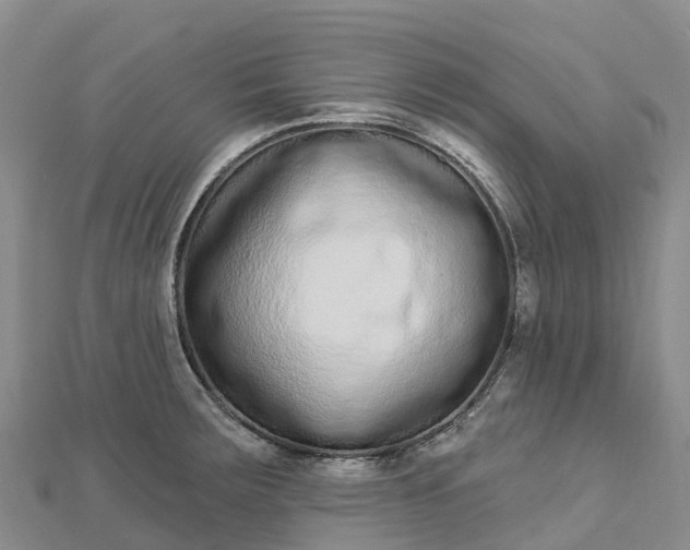 X0000112721283200909031409