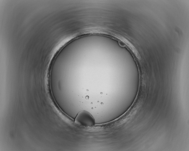 X0000112721285200909031409