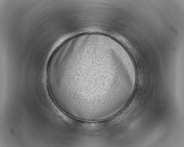 X0000112721286200909031409