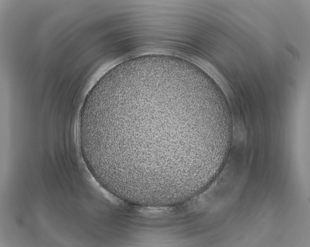 X0000112721290200909031409