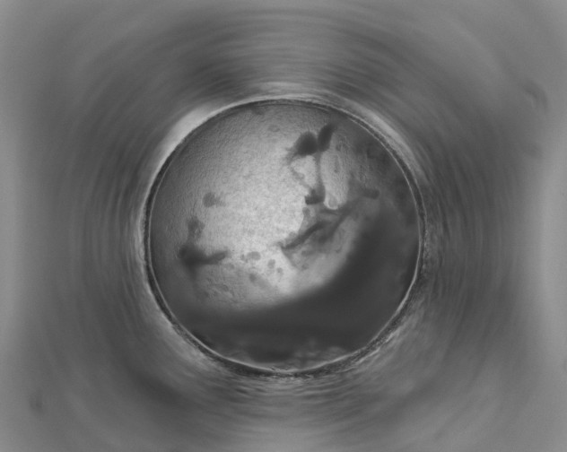 X0000112721291200909031409