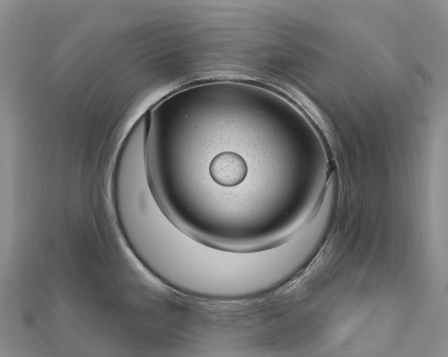 X0000112721293200909031409