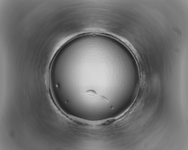 X0000112721295200909031409