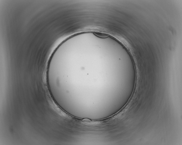 X0000112721296200909031409