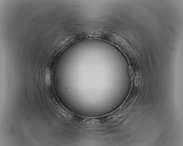 X0000112721298200909031408