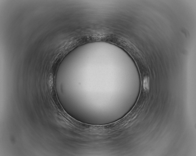 X0000112721299200909031408